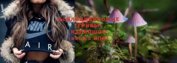 ГАЛЛЮЦИНОГЕННЫЕ ГРИБЫ Алексин