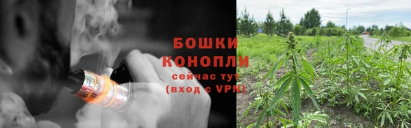 PSILOCYBIN Абаза