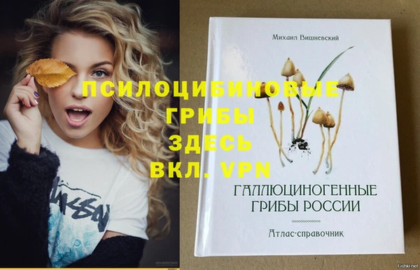 PSILOCYBIN Абаза