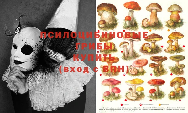 PSILOCYBIN Абаза